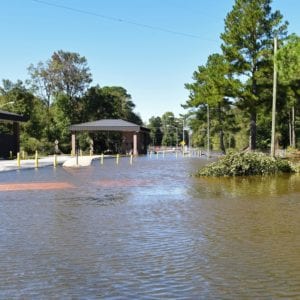 Hurricane Florence Flooded Road